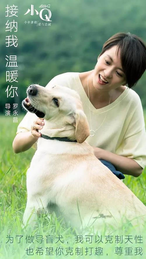 怎么买苏格兰ID